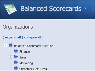 Balanced scorecard Institute